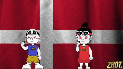 Danish Flag GIF by Zhotcita