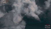 Predator GIF by 20th Century Studios