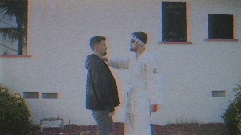 Kung Fu Fight GIF by BabylonBee