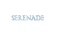세븐틴 Serenade Sticker