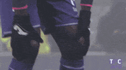 ligue 1 soccer GIF by Toulouse Football Club