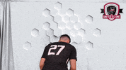 UIndyMensSoccer mens soccer uindy university of indianapolis uindy mens soccer GIF