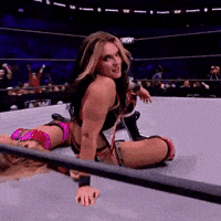 Roman Reigns Jamie Hayter GIF
