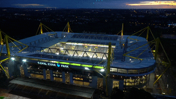 Borussia Dortmund Bundesliga GIF