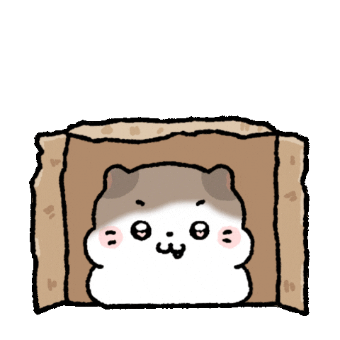 coconyangofficial giphyupload 고양이 코코냥 conyang Sticker