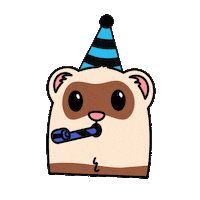 Congratulations Ferret Sticker by WaverleySoftware