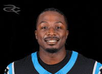 Carolina Panthers GIF by Respective