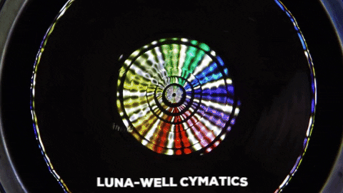 FreudSlip giphygifmaker cymatics GIF