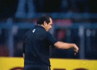 muricy ramalho GIF by São Paulo FC