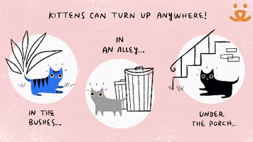 Kittens Save Them All GIF by Best Friends Animal Society