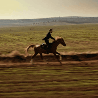 Horse Startv GIF by Burak Berkay