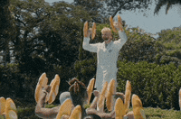 Dance Shake GIF by SOFI TUKKER