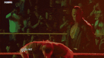 triple h wrestling GIF by WWE