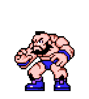 Street Fighter Win Sticker