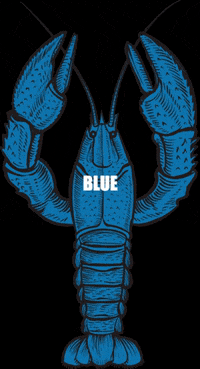 nsspiritco blue cheers weekend vodka GIF