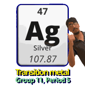 Group 11 Silver Sticker
