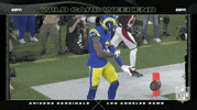 La Rams Football GIF by NFL
