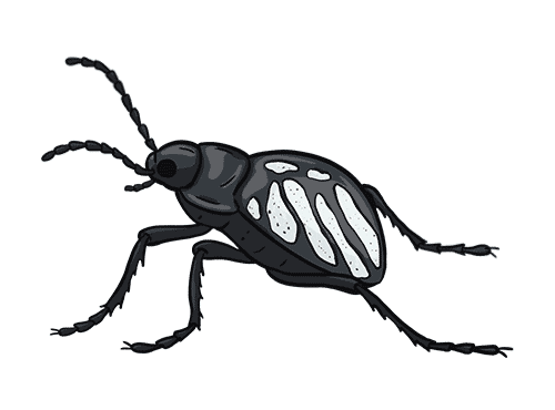 ocultoaplenavista giphyupload bug bicho vaquita Sticker