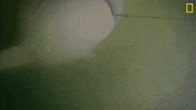 Nat Geo Water GIF by National Geographic Channel