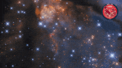 Stars Orange GIF by ESA/Hubble Space Telescope
