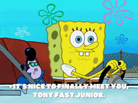 season 8 GIF by SpongeBob SquarePants