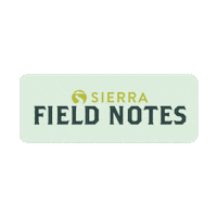 Field Notes Sierra Sticker by enchanted grdn
