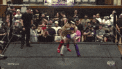 The Obsession Suplex GIF