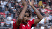 Bravo Applause GIF by Stade Rennais F.C.