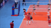 Save Go For It GIF by Volleyball World