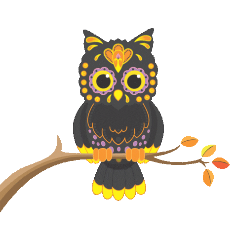 outfoxeddesign giphyupload fall autumn owl Sticker