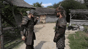 Vikings Brothers GIF by PuyduFou