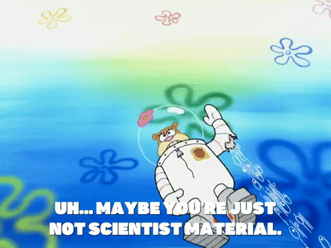 season 5 episode 20 GIF by SpongeBob SquarePants