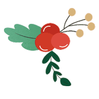 Merry Christmas Mistletoe Sticker