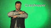 sign language GIF by Sign with Robert