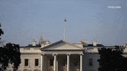 GIF by CYBERWAR