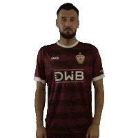 Happy Football Sticker by BFC Dynamo