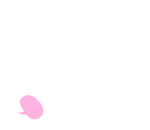 Pink Box Sticker by Jackie Smith BA