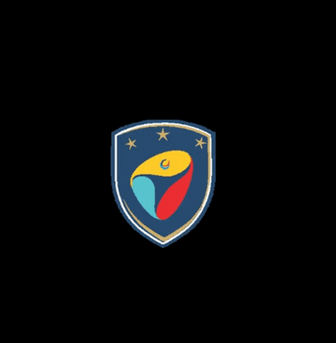 IdeaSport giphyupload soccer training GIF