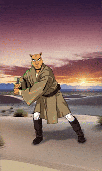 Jedi Lightsaber GIF by Camel Dad