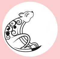 Anatuna anatuna GIF