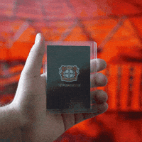 Bundesliga Werkself GIF by Bayer 04 Leverkusen