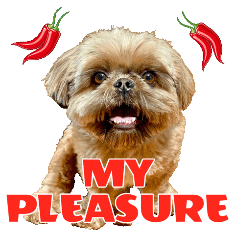 Pleasure Zorro Sticker by Pimp Yo Pets
