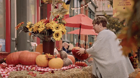 Small Town Fall GIF by Hallmark Channel