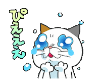 Cat 哭哭 Sticker