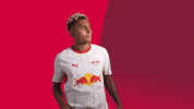 Background Look At That GIF by RB Leipzig