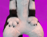 Furrie Dancing GIF by Minky Mom