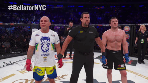 GIF by Bellator