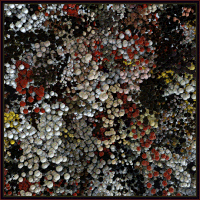 loop render GIF by xponentialdesign