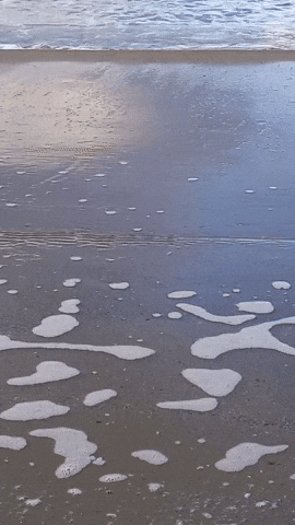 Simongip giphyupload GIF