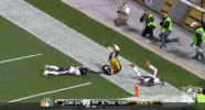 Pittsburgh Steelers Nfl GIF